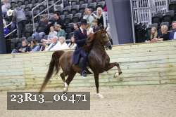 23R13_06471 thumbnail