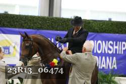 23R13_06474 thumbnail