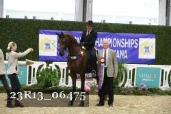 23R13_06475 thumbnail