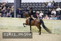 23R13_06500 thumbnail