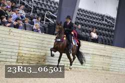 23R13_06501 thumbnail