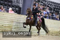 23R13_06502 thumbnail
