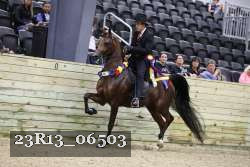 23R13_06503 thumbnail