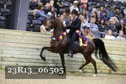 23R13_06505 thumbnail