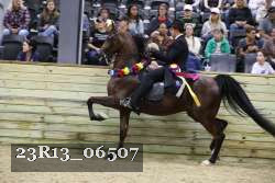 23R13_06507 thumbnail