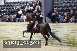 23R13_06508 thumbnail