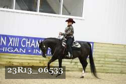 23R13_06533 thumbnail