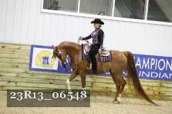 23R13_06548 thumbnail