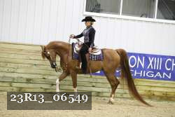 23R13_06549 thumbnail
