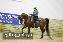 23R13_06550 thumbnail