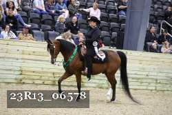23R13_06578 thumbnail