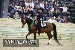 23R13_06579 thumbnail