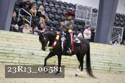 23R13_06581 thumbnail