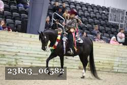 23R13_06582 thumbnail