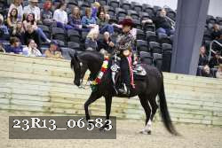 23R13_06583 thumbnail