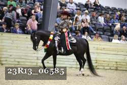 23R13_06585 thumbnail