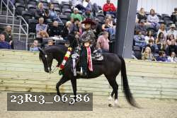 23R13_06586 thumbnail
