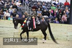 23R13_06587 thumbnail