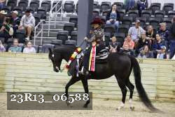 23R13_06588 thumbnail