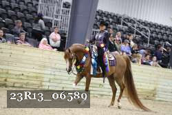 23R13_06589 thumbnail