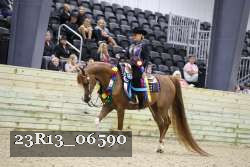 23R13_06590 thumbnail