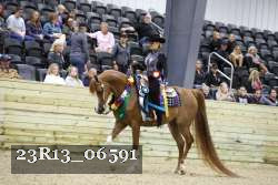 23R13_06591 thumbnail