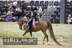 23R13_06597 thumbnail