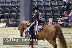 23R13_06600 thumbnail