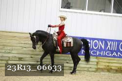23R13_06633 thumbnail