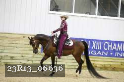 23R13_06636 thumbnail