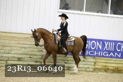 23R13_06640 thumbnail