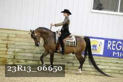 23R13_06650 thumbnail