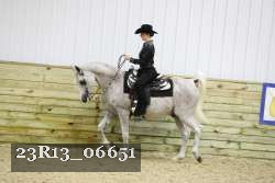23R13_06651 thumbnail