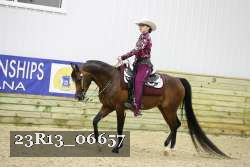 23R13_06657 thumbnail