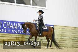 23R13_06659 thumbnail