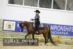 23R13_06660 thumbnail