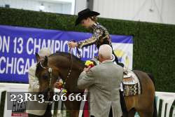 23R13_06661 thumbnail