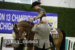 23R13_06662 thumbnail