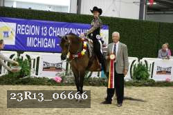 23R13_06666 thumbnail