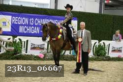 23R13_06667 thumbnail