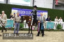 23R13_06673 thumbnail