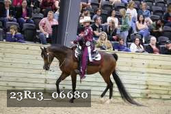 23R13_06680 thumbnail