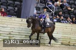 23R13_06682 thumbnail