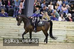 23R13_06685 thumbnail