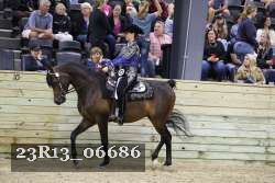 23R13_06686 thumbnail