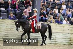 23R13_06691 thumbnail