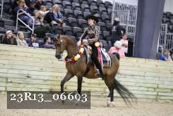 23R13_06693 thumbnail