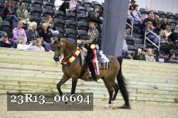 23R13_06694 thumbnail
