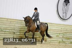 23R13_06731 thumbnail