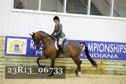 23R13_06733 thumbnail